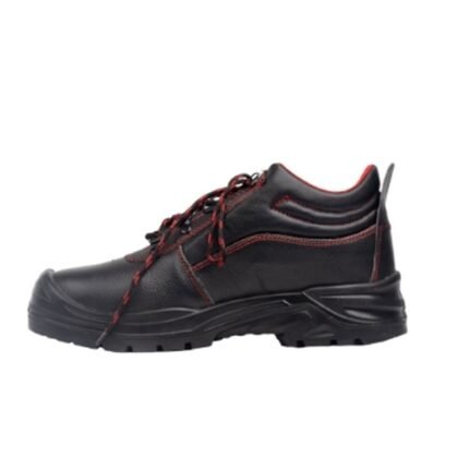 Protecto Leather Steel-Toe Safety Shoes - supplier catalogue image
